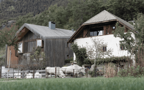 Screenshot 2026-01-13 121454